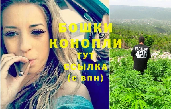стафф Навашино