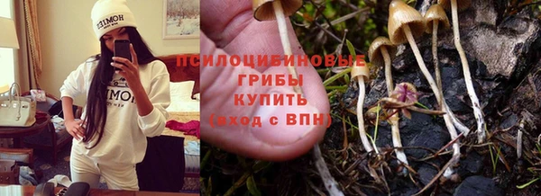 альфа пвп Надым