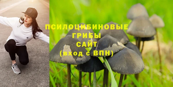 альфа пвп Надым