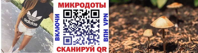 Псилоцибиновые грибы GOLDEN TEACHER  МЕГА ССЫЛКА  Топки 