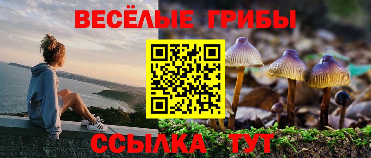 Псилоцибиновые грибы MAGIC MUSHROOMS Топки